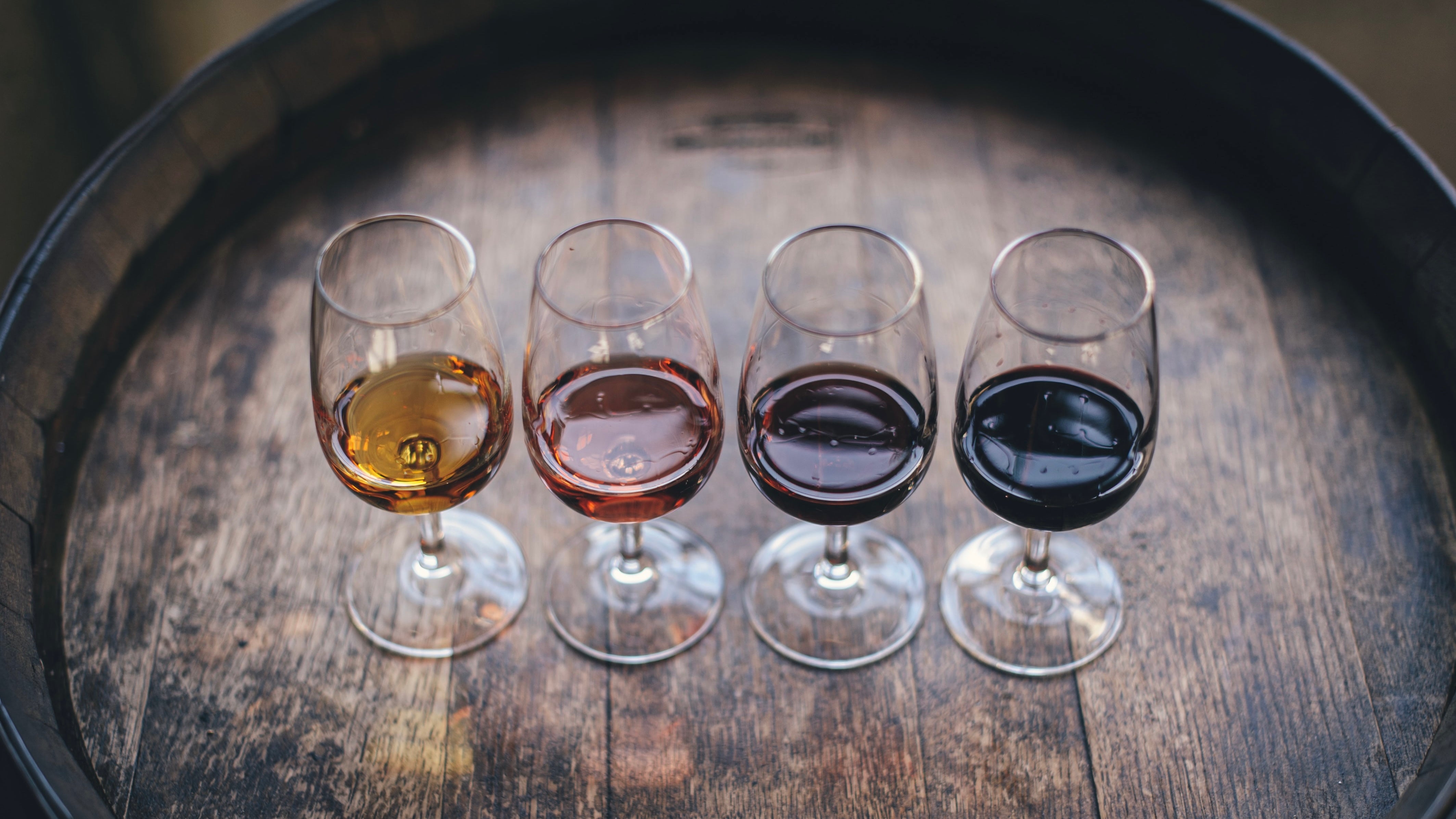 Our Wines